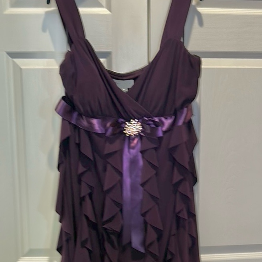 Plus Size Women’s Elegant Purple Dress